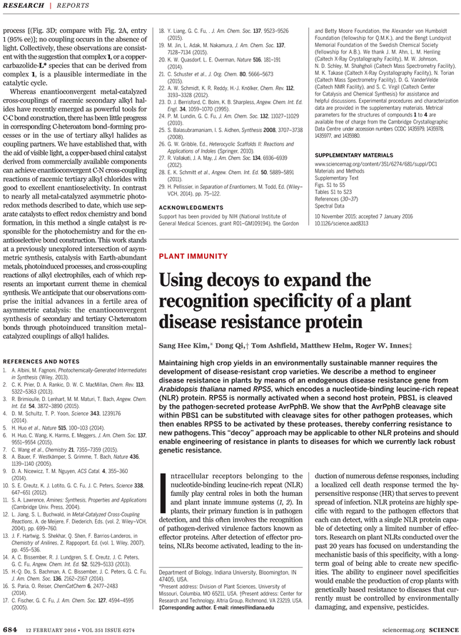 Letterhead Templates (729x929), Png Download