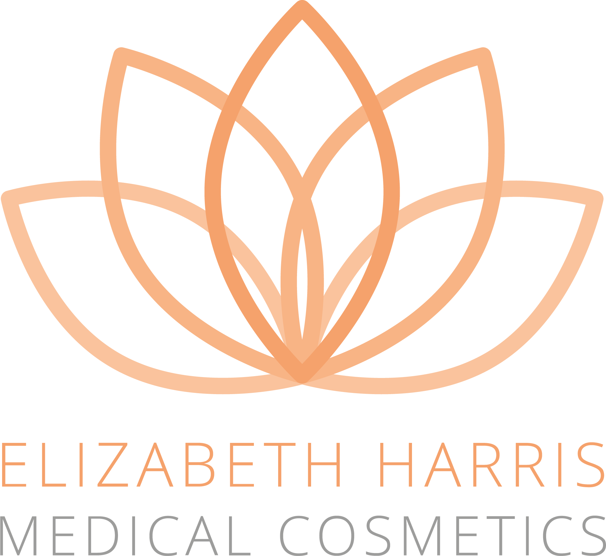 Lotus Flower Minimal Png (2024x1858), Png Download