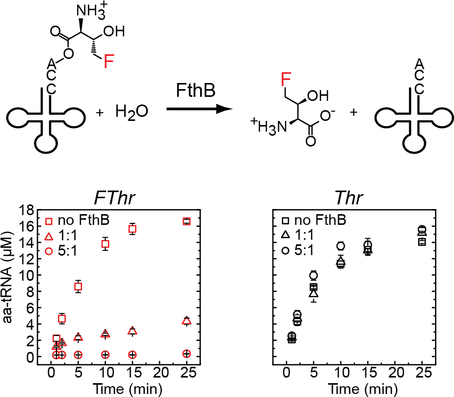 Mcmurry, M - Diagram (888x786), Png Download