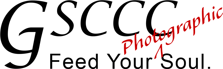 Gsccc 18 Logo - Schloß Gripsholm. Eine Sommergeschichte [book] (997x406), Png Download