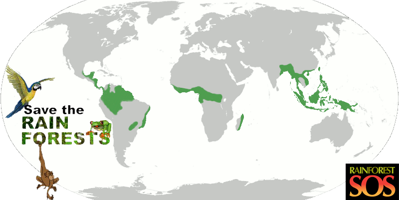 Save The Rainforest - World Map Blank Borders (800x401), Png Download