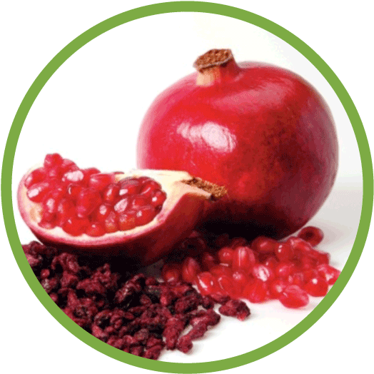 Pomegranate (562x562), Png Download