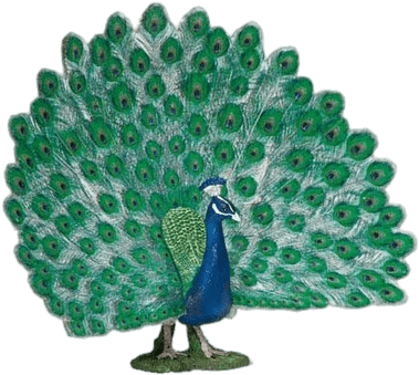 Peacock With Open Tail Figurine - Schleich Peacock (400x400), Png Download