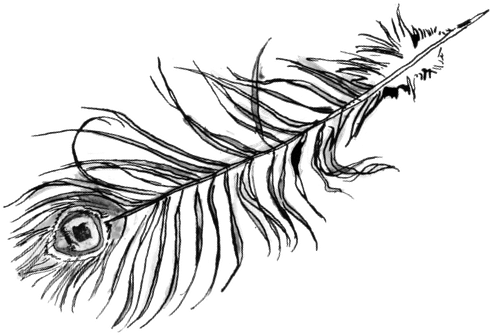Sketch (555x350), Png Download