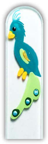 102500 Peacock - Parakeet (500x500), Png Download