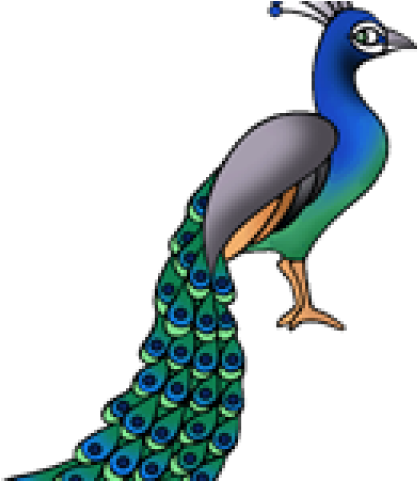 National Bird Of India Clipart (640x480), Png Download