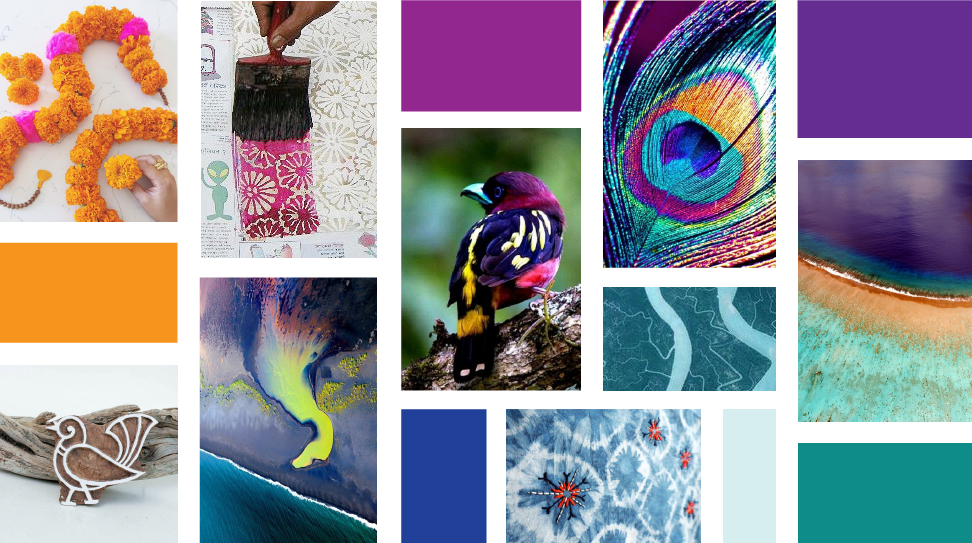 The Concept Moodboard Explored The Beauty Of A Bird's - Indian Culture Moodboard (972x543), Png Download
