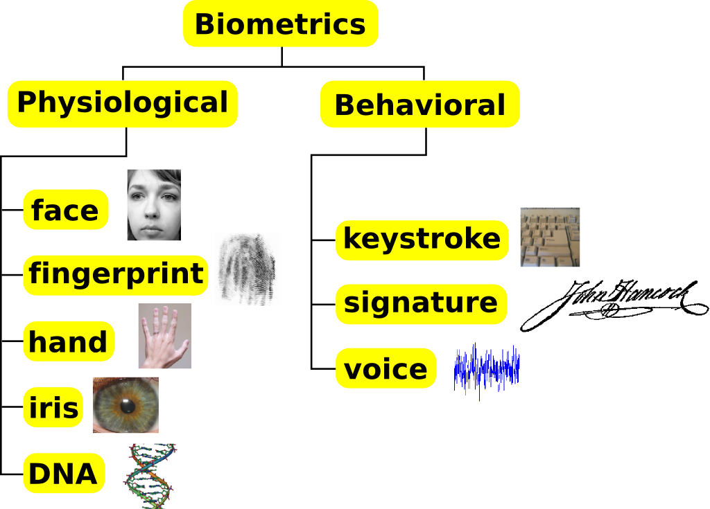 Biometrics Traits Classification - Biometric Technology (1024x735), Png Download