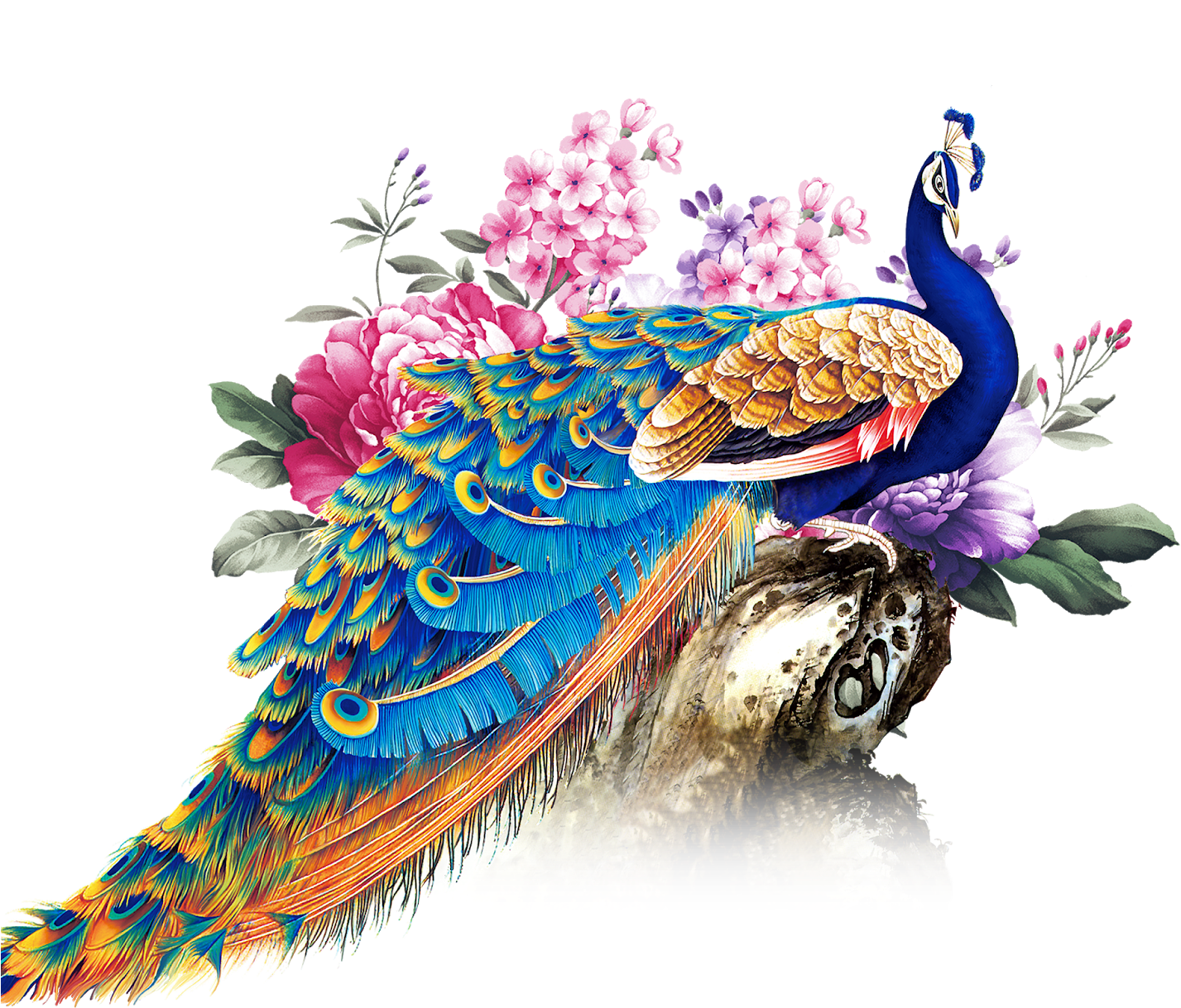Peacock Decor, Peacock Art, Photo Booth Backdrop, Helmet, - Png Format Peacock Png (1600x1280), Png Download