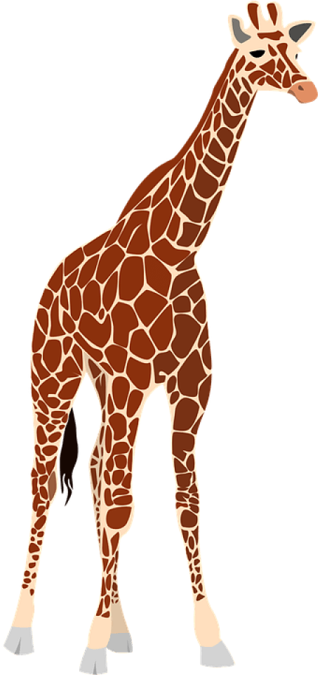 Free Png Giraffe Png Images Transparent - Realistic Giraffe Clipart (480x960), Png Download