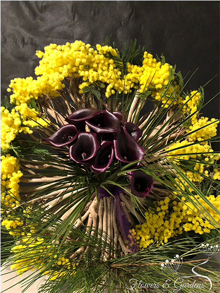 We Invite You To Take A Look At Our Creations In Order - Tickseed (800x600), Png Download