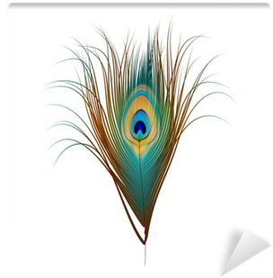 Vector Peacock Feather Isolated On White Wall Mural - Peacock Feather Vector (400x400), Png Download
