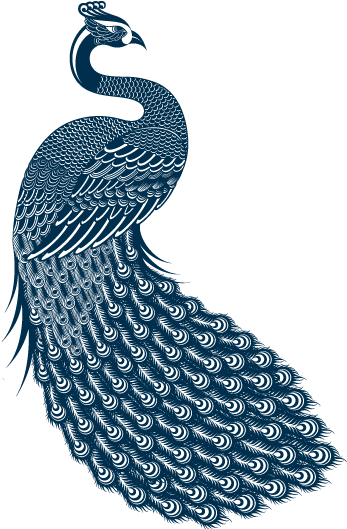The Original Peacock's Feathers Band Was Based In South - Peacock Music (357x528), Png Download