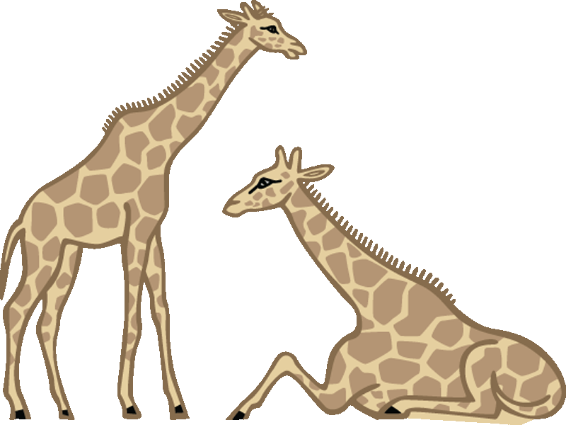 Small - Giraffe Laying Down Clipart (600x450), Png Download