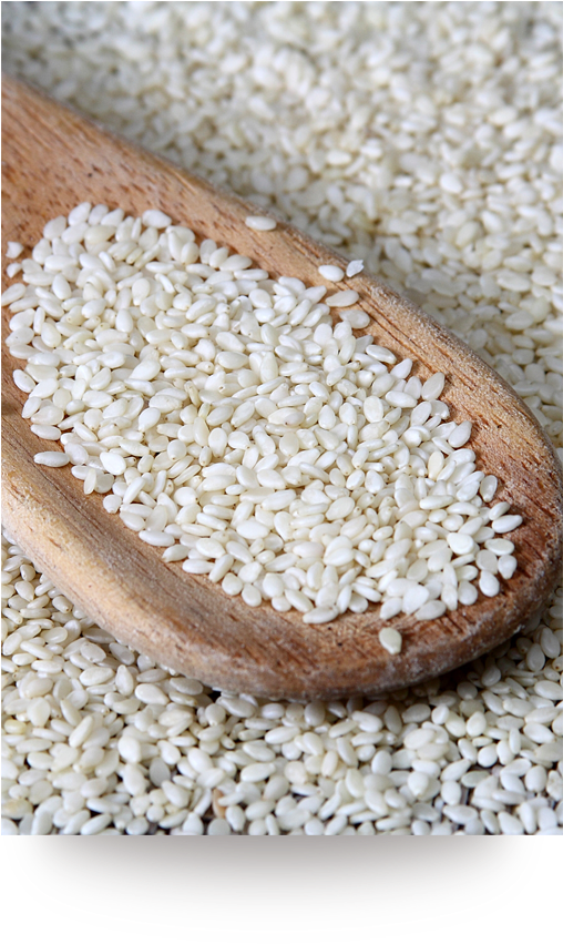 Download 02hulled Sesame Seed Sesame Full Size PNG Image PNGkit