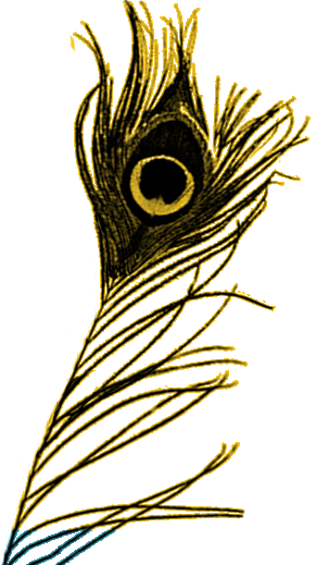 Queen (291x519), Png Download