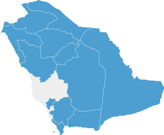 The Jewel Of The Civilizations That Highlights The - Saudi Arabia Flag In Country (531x438), Png Download