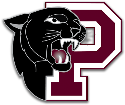 Support Princeton High School - Princeton Panthers Logo (450x450), Png Download