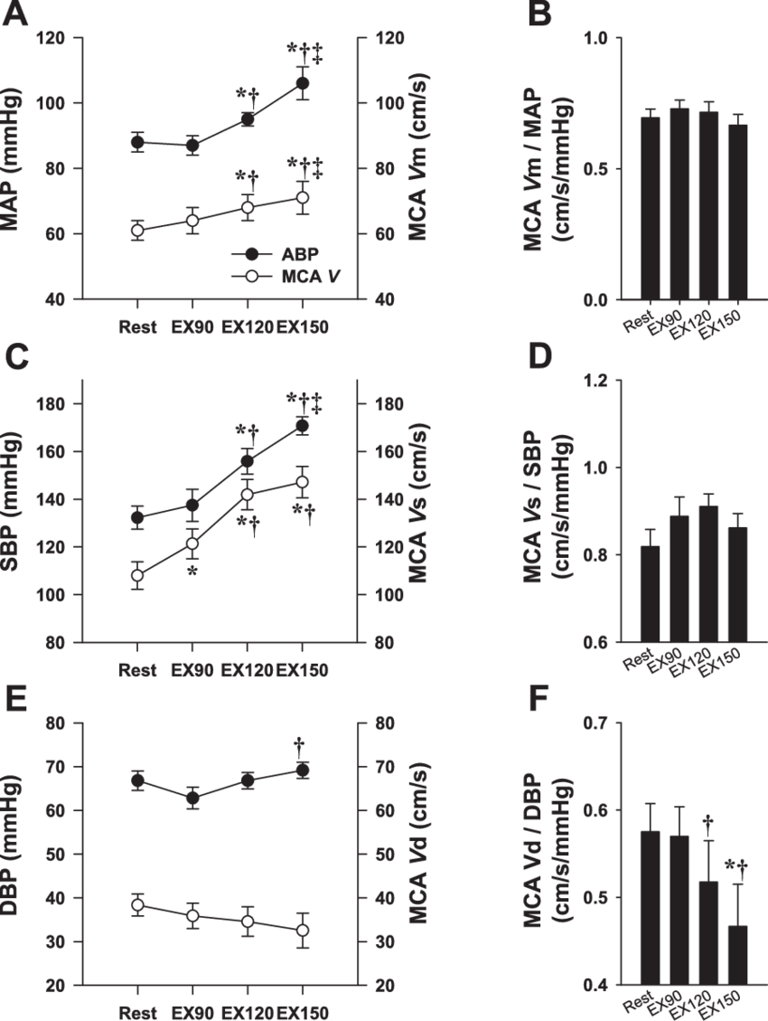 Mean Arterial Pressure And Mca Mean V (mca Vm) - Blood Pressure (850x1129), Png Download
