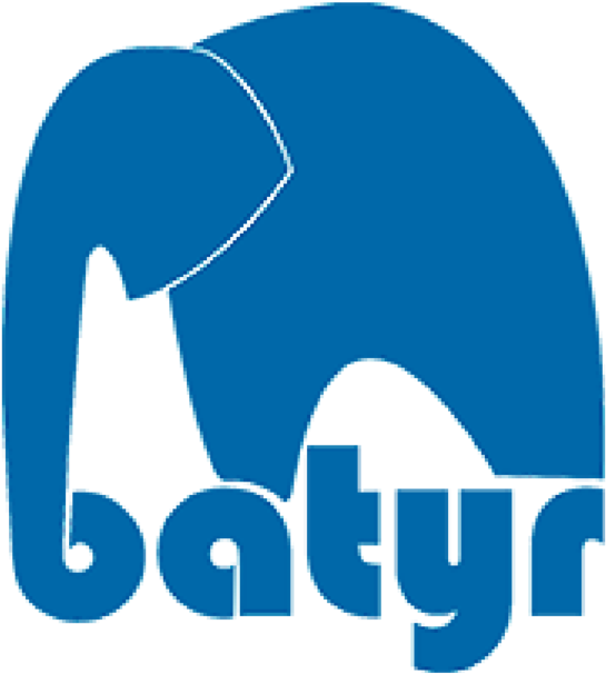 The Global Coalition On Youth Mental Health Was Made - Batyr (1000x663), Png Download