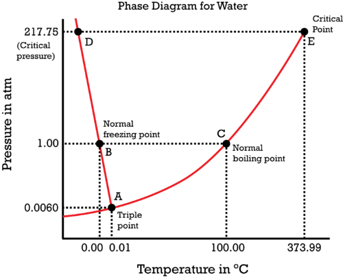 The Phase Diagram Of Water Is Special Because The Sol - Phase Diagram Of Water (500x404), Png Download