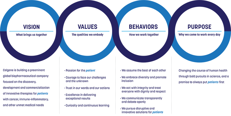 Vision, Values, Behaviors, Purpose - Values Of A Company (781x394), Png Download