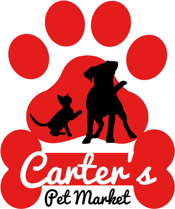 Carterspet01 (1000x707), Png Download