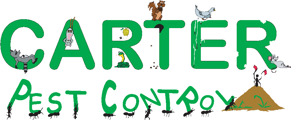 “your Pest Is Our Problem” - Carter Pest Control (992x417), Png Download