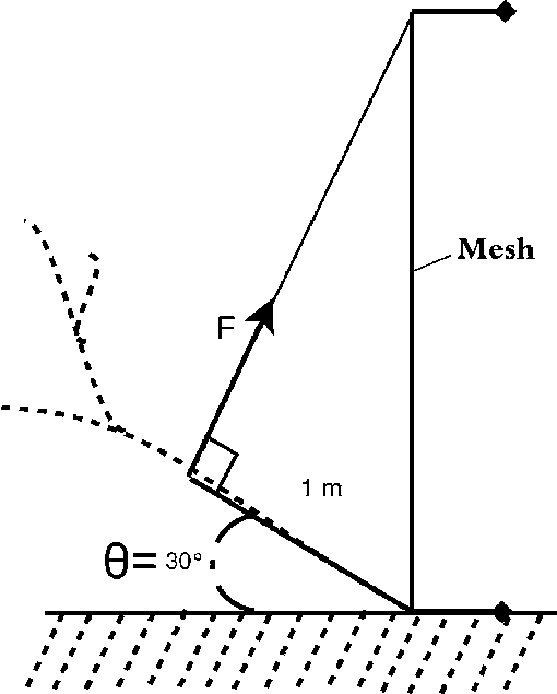 Diagram Of The Wire Mesh Used To Measure The Bending - Plot (510x635), Png Download