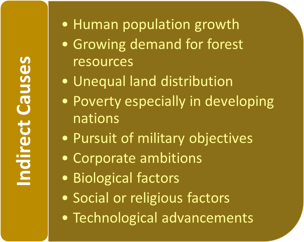 Indirect Causes Of Deforestation - Deforestation (977x778), Png Download