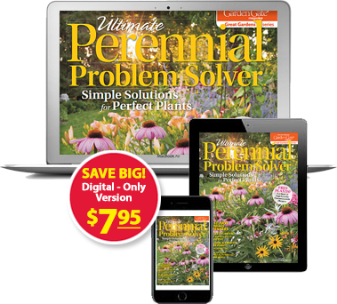 This Tough-as-Nails Perennial Garden Plan Has Fuss-Free Plants