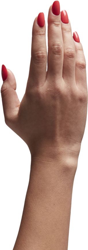 Search For - - Animal Testing (700x1000), Png Download