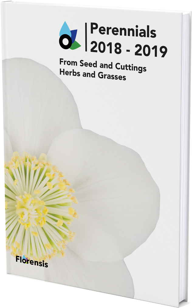 Catalogue - Poppy Family (1000x1333), Png Download