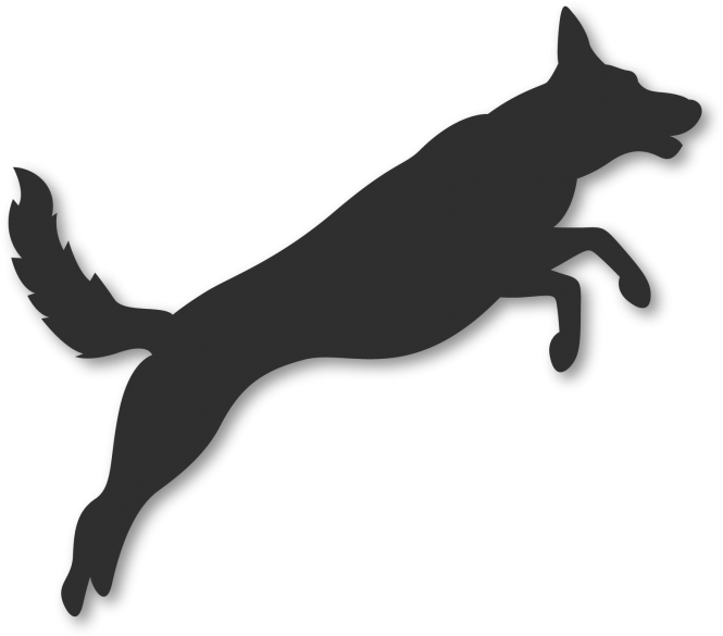 Dog Jumping - Dog (676x600), Png Download