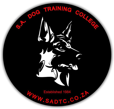 Dog Training - Dog (480x458), Png Download