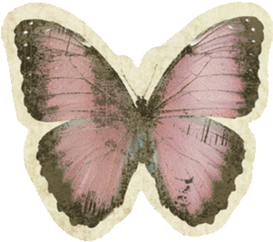 Dior Fleur Esme - Life Is Strange Chloe Butterfly (408x402), Png Download
