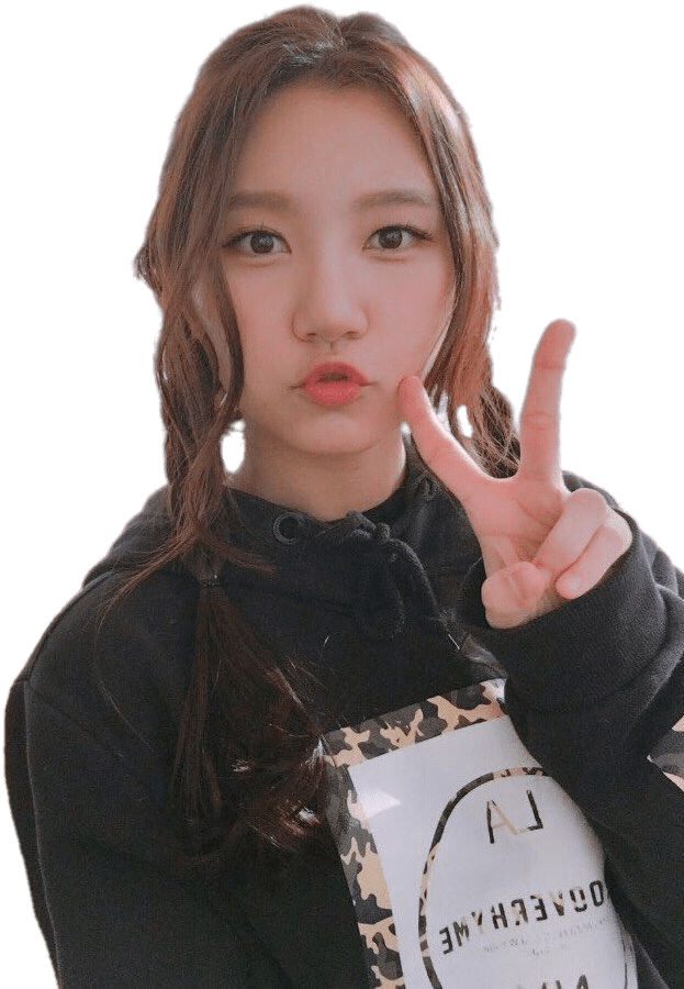 Download - Pristin Roa Soft Edit (663x947), Png Download