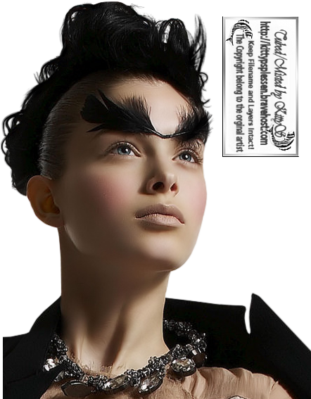 Ks Bleu 3 2 2009 - Fashion Model (442x567), Png Download