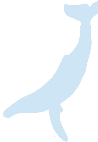 Whale Image - Illustration (323x468), Png Download