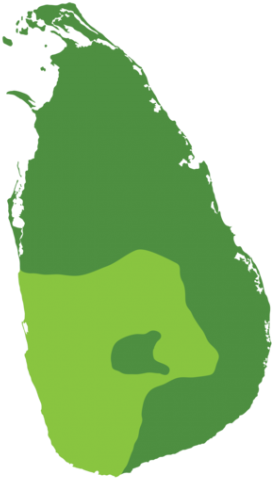 Map - Emblem Of Sri Lanka (330x500), Png Download