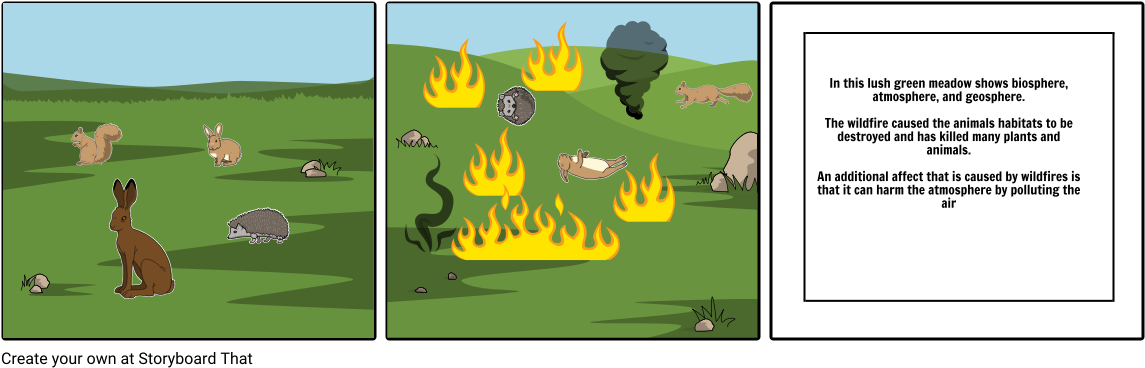 Cause And Effect Of Wildfires - Illustration (1164x385), Png Download