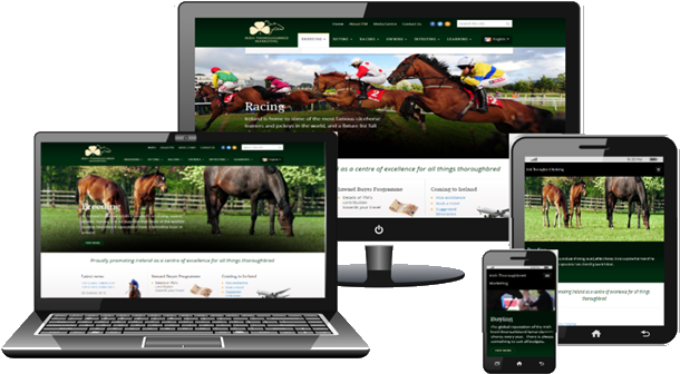 0 - Trader (617x346), Png Download