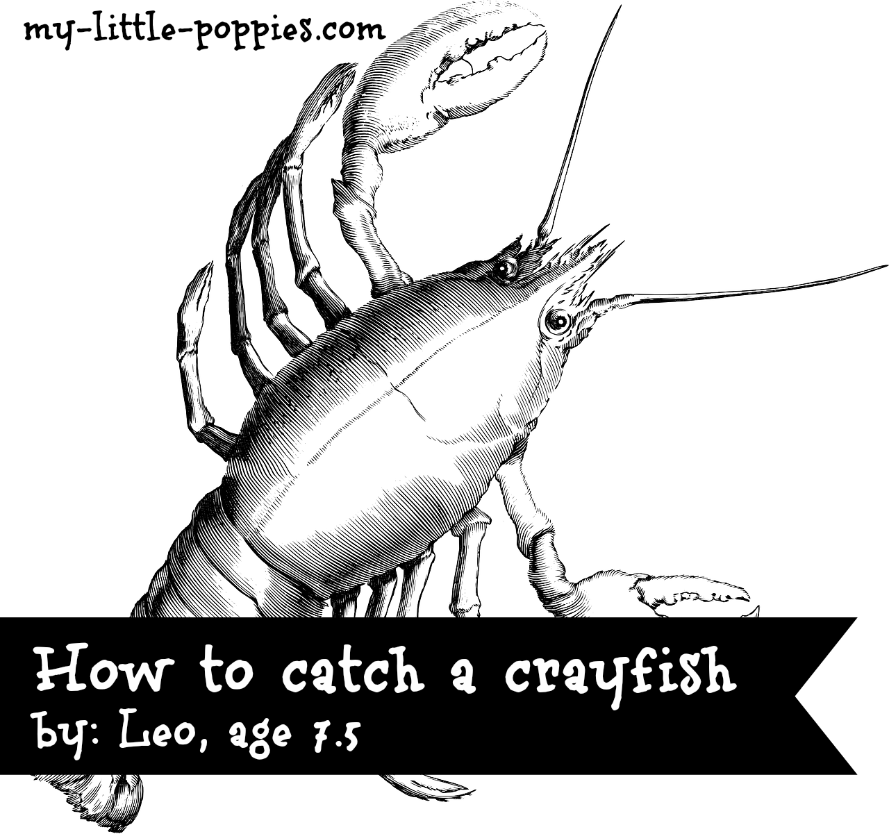 How To Catch A Crayfish - Cancer Constellation (1280x1201), Png Download