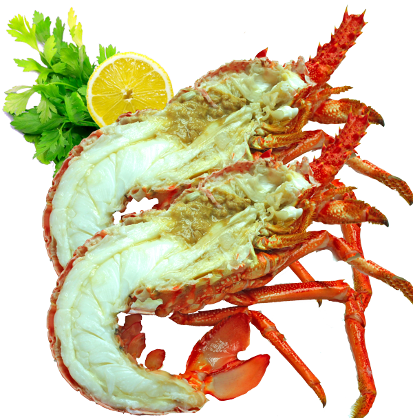 Cooked Crayfish - Crayfish Cooked (600x607), Png Download