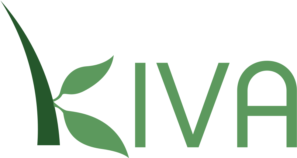 Kiva Logo - Kiva Org (1000x525), Png Download