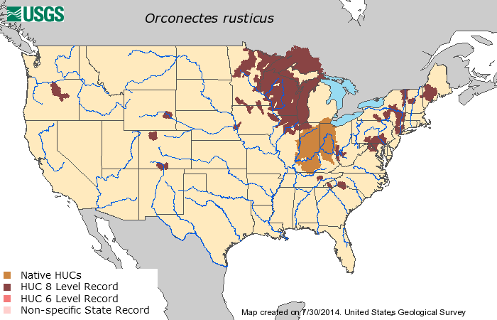 Distribution Rusty Crayfish - Red Spotted Newt Distribution (700x450), Png Download