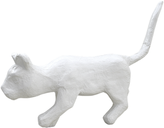 Png,white Cat,cat,plaster,white Color,white - Gato Blanco Png (500x332), Png Download