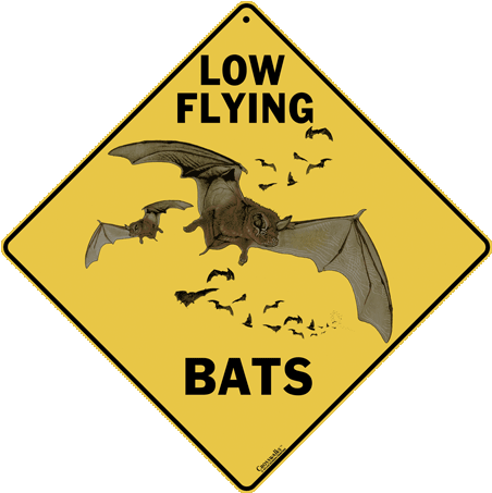 Low Flying Bat Crossing Sign - Crossing Sign (480x480), Png Download