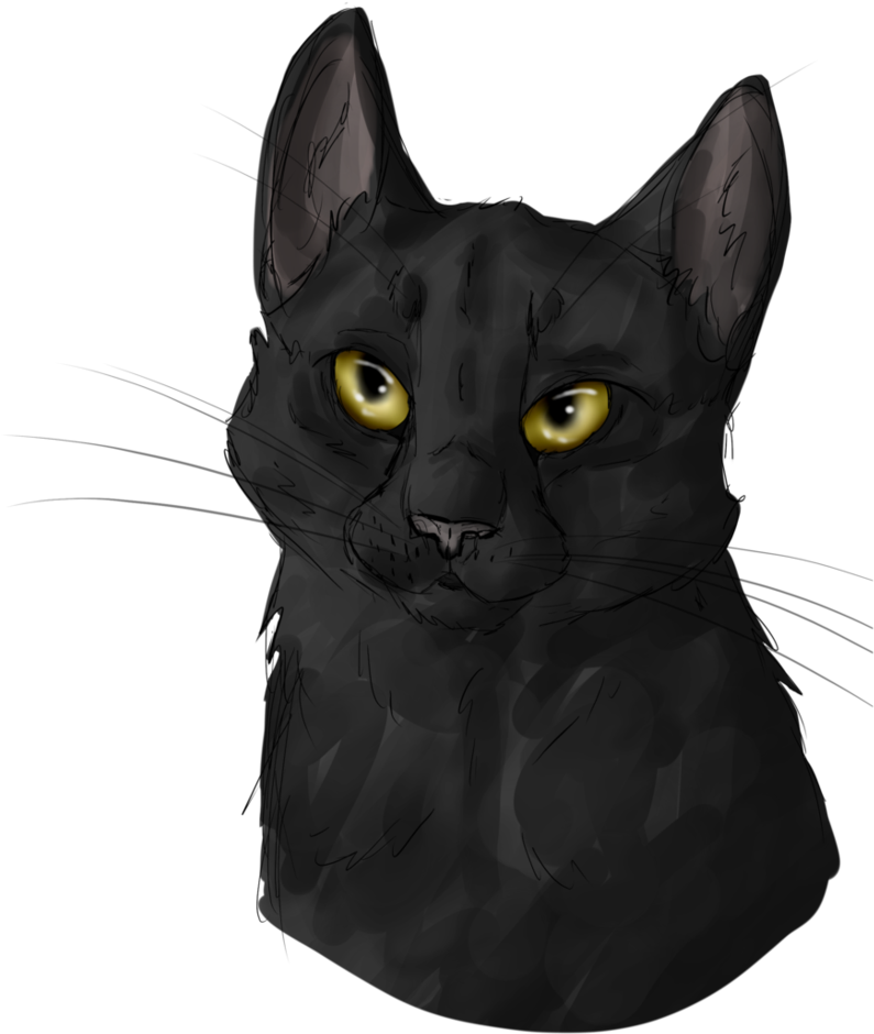 Black Cat Portrait X3 By Afna2ooo-d5qlqsd - Cat (824x970), Png Download