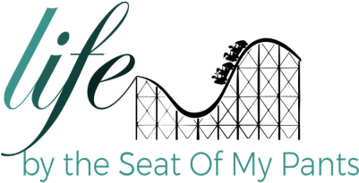 Because Shaking It Up Sometimes Isn't Enough - Roller Coaster T Shirt (400x309), Png Download